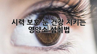 시력 보호! 눈 건강 지키는 영양소 섭취법